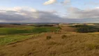 Foto 9 de Fazenda/Sítio à venda, 150000m² em , São Francisco de Paula