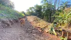 Foto 13 de Fazenda/Sítio com 2 Quartos à venda, 29154m² em , Boa Vista do Sul