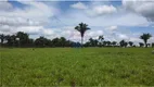 Foto 3 de Fazenda/Sítio com 2 Quartos à venda, 1500400m² em Zona Rural, São Geraldo do Araguaia