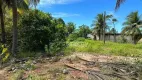 Foto 5 de Lote/Terreno à venda, 5404m² em Praia de Pipa, Tibau do Sul