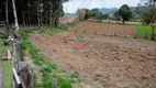 Foto 4 de Lote/Terreno à venda, 5000m² em Zona Rural, Vargem