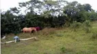 Foto 8 de Fazenda/Sítio com 3 Quartos à venda, 10000m² em Biritiba Ussu, Mogi das Cruzes