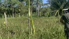 Foto 8 de Lote/Terreno à venda, 2000000m² em Area Rural de Manaus, Manaus