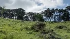 Foto 3 de Fazenda/Sítio à venda, 266200m² em Zona Rural, Marmelópolis