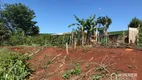 Foto 18 de Fazenda/Sítio com 3 Quartos à venda, 120m² em Vera Cruz, Sarandi