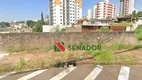 Foto 3 de Lote/Terreno para alugar, 750m² em Centro, Londrina