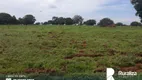 Foto 7 de Fazenda/Sítio à venda, 1422m² em Zona Rural, Pium