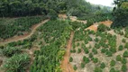 Foto 8 de Fazenda/Sítio à venda, 20000m² em Zona Rural, Marechal Floriano