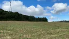 Foto 2 de Fazenda/Sítio à venda, 24200m² em Campo Novo, Campo Magro