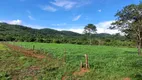 Foto 25 de Fazenda/Sítio com 3 Quartos à venda, 3630000m² em Centro, Guapó