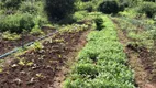 Foto 17 de Fazenda/Sítio à venda, 100000m² em Jaua Abrantes, Camaçari