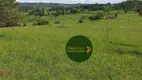 Foto 10 de Fazenda/Sítio à venda, 2371600m² em Zona Rural, Nova América