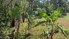 Foto 2 de Fazenda/Sítio com 3 Quartos à venda, 3000m² em Rio do Salto, Cascavel