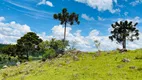 Foto 8 de Fazenda/Sítio à venda, 440000m² em Santa Izabel, São Joaquim