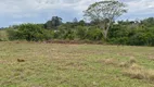 Foto 6 de Fazenda/Sítio com 1 Quarto à venda, 2536m² em , Santo Antônio de Goiás