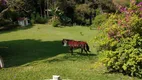 Foto 4 de Fazenda/Sítio com 4 Quartos à venda, 200m² em Pouso Alegre, Santa Isabel