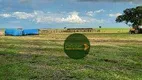 Foto 2 de Fazenda/Sítio à venda, 14520000m² em Zona Rural, Doverlândia