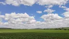 Foto 24 de Fazenda/Sítio com 3 Quartos à venda, 18600000m² em Zona Rural, Catalão