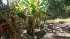 Foto 28 de Fazenda/Sítio com 3 Quartos à venda, 120m² em Area Rural de Limeira, Limeira