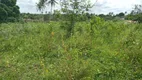 Foto 2 de Fazenda/Sítio com 3 Quartos à venda, 200000m² em Centro, São Gonçalo do Amarante