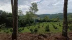 Foto 14 de Fazenda/Sítio à venda, 38000m² em Caminhos de Pedra, Bento Gonçalves