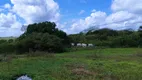 Foto 11 de Fazenda/Sítio com 3 Quartos à venda, 5000m² em Zona Rural, Monte Alegre