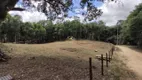 Foto 20 de Fazenda/Sítio com 1 Quarto à venda, 20000m² em São Luiz do Purunã, Balsa Nova