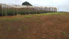 Foto 25 de Fazenda/Sítio com 3 Quartos à venda, 200m² em Zona Rural, São Miguel Arcanjo