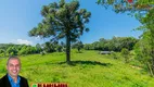 Foto 5 de Fazenda/Sítio à venda, 70000m² em Serra grande Morro Agudo, Gramado