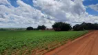 Foto 48 de Fazenda/Sítio à venda, 4910000m² em Centro, Jataí