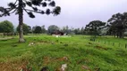 Foto 14 de Fazenda/Sítio à venda, 40000m² em Serra Grande Alema, Gramado