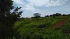 Foto 2 de Fazenda/Sítio para venda ou aluguel, 4690m² em Chácaras Tubalina E Quartel, Uberlândia