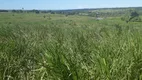 Foto 9 de Fazenda/Sítio com 3 Quartos à venda, 210000m² em Monte Alegre, Monte Alegre