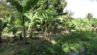 Foto 23 de Fazenda/Sítio com 3 Quartos à venda, 10000m² em Agro Brasil, Cachoeiras de Macacu