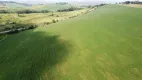 Foto 11 de Fazenda/Sítio com 4 Quartos à venda, 4400000m² em Zona Rural, Cruzília