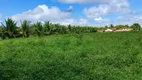 Foto 11 de Fazenda/Sítio com 1 Quarto à venda, 4000m² em Sitio Arena, São José de Mipibu