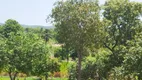 Foto 3 de Fazenda/Sítio com 2 Quartos à venda, 13000m² em Zona Rural, Faina