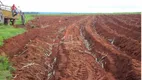 Foto 16 de Fazenda/Sítio à venda em Jardim Urano, São José do Rio Preto