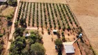 Foto 7 de Fazenda/Sítio com 2 Quartos à venda, 12000m² em Centro, Goianápolis