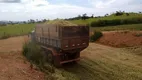 Foto 9 de Fazenda/Sítio com 3 Quartos à venda, 150m² em Zona Rural, Itapaci