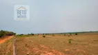 Foto 10 de Fazenda/Sítio à venda, 113740000m² em Zona Rural, São Félix do Xingu