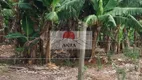 Foto 7 de Fazenda/Sítio com 5 Quartos à venda, 1000m² em , Santa Isabel
