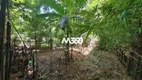 Foto 2 de Fazenda/Sítio com 3 Quartos à venda, 250m² em Parque das Nações, Aparecida de Goiânia