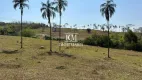 Foto 10 de Fazenda/Sítio com 4 Quartos à venda, 28m² em Zona Rural, Buriti Alegre