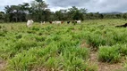 Foto 31 de Fazenda/Sítio com 2 Quartos à venda, 490000m² em Sao Gabriel de Goias, Planaltina