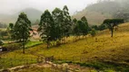 Foto 11 de Fazenda/Sítio com 3 Quartos à venda, 330000m² em Centro, Antônio Dias