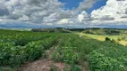 Foto 27 de Fazenda/Sítio com 3 Quartos à venda, 254100m² em Zona Rural, Jacutinga