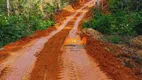 Foto 16 de Fazenda/Sítio à venda, 15000000m² em Centro, Humaitá