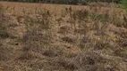 Foto 15 de Fazenda/Sítio à venda, 110000m² em Zona Rural, Alto Paraíso de Goiás