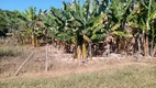 Foto 15 de Fazenda/Sítio à venda, 140000m² em Zona Rural, Bom Despacho